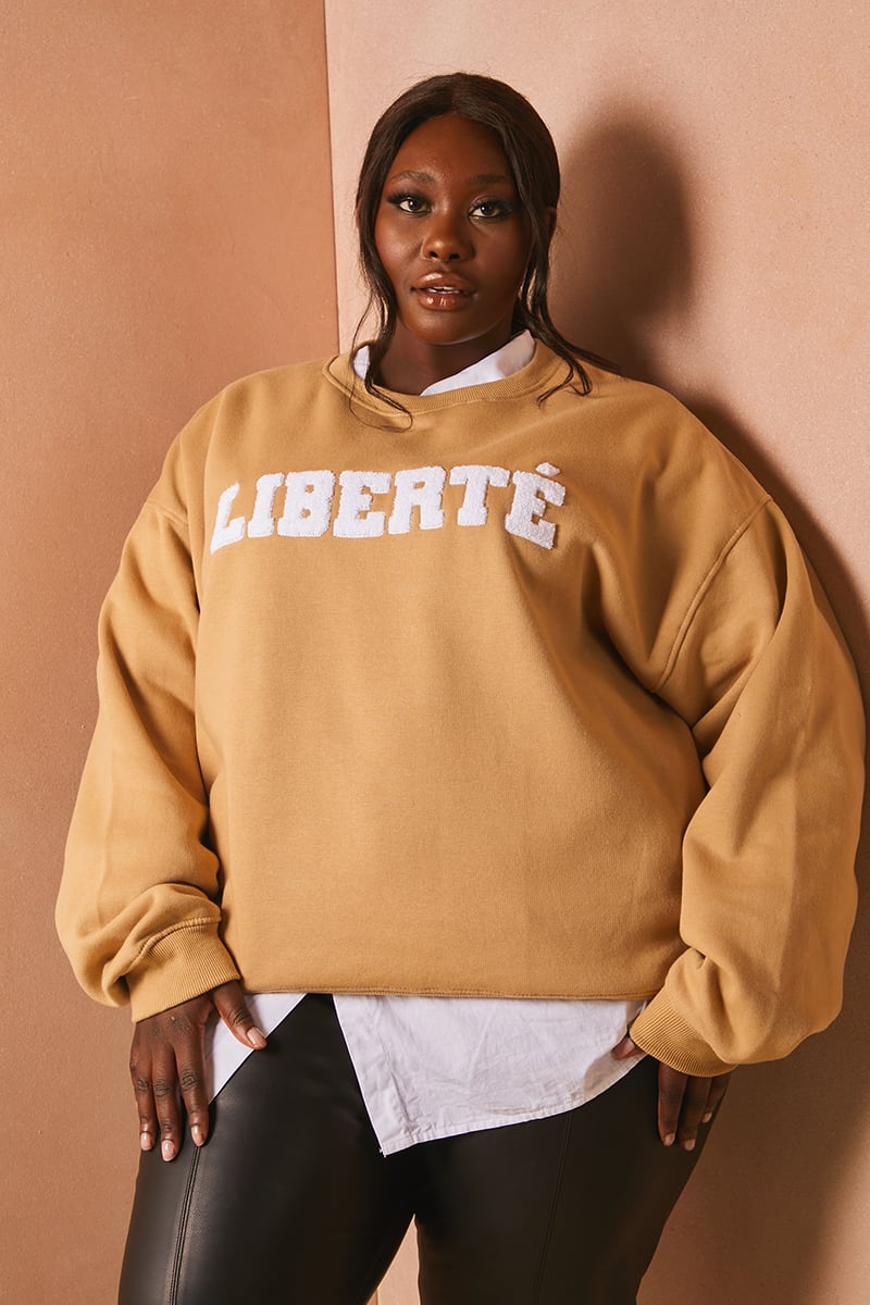 Kælder forbundet Slikke Lorna Luxe Tan Teddy Borg 'Liberte' Applique Oversized Sweatshirt | In The  Style USA